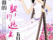 冷情总裁的契约新娘,冷情总裁的温柔陷阱