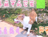 每日吃瓜51吃瓜,揭秘娱乐圈背后的那些事儿