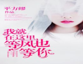 娱乐之横扫全球,横扫全球的传奇之旅